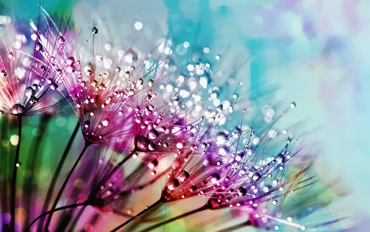 Finding Purpose and Healing Through Coaching