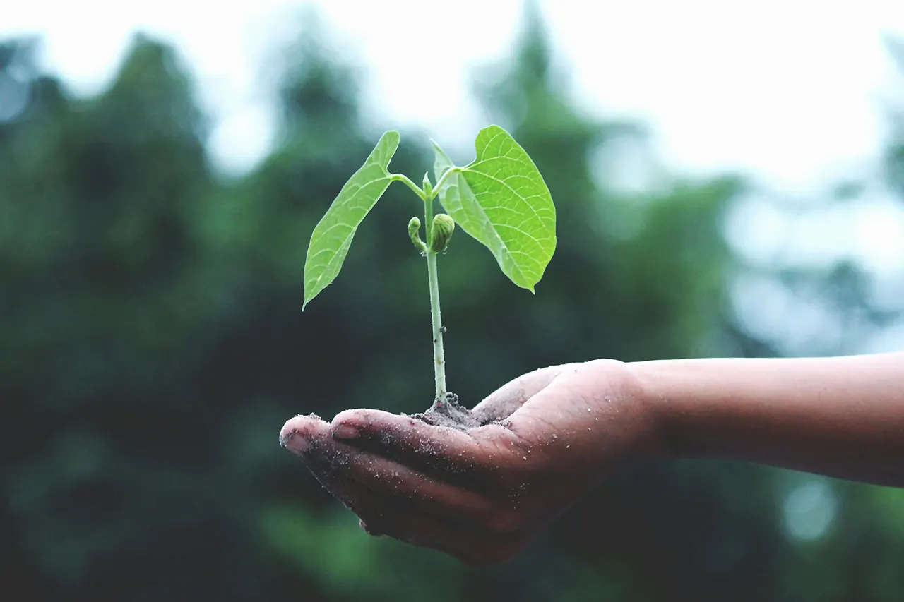 Our mindset plays an important role in shaping our experiences and outcomes.