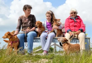 Nurturing Harmonious Family Dynamics