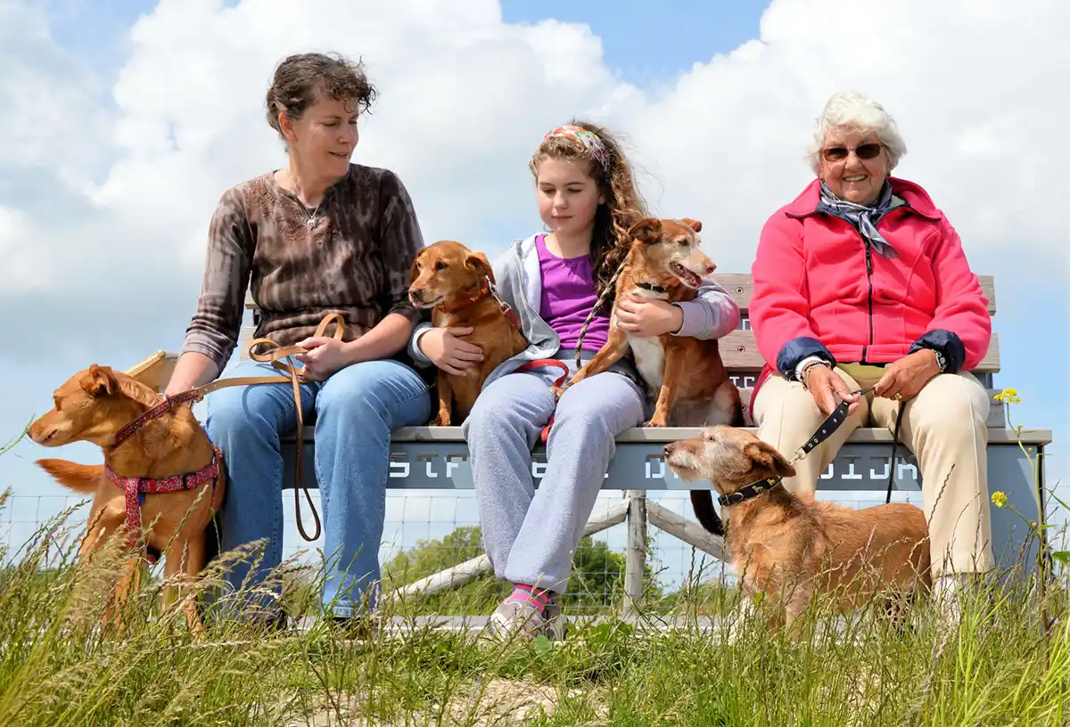 Nurturing Harmonious Family Dynamics