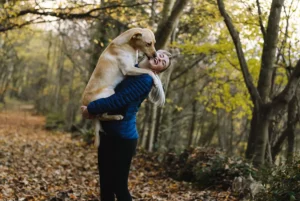 Embracing life's rollercoaster with emotional resilience