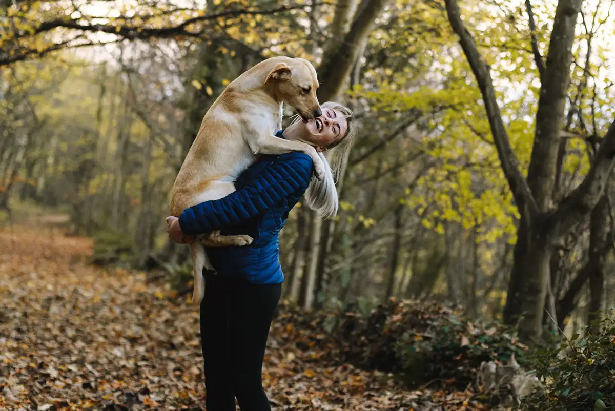 Embracing life's rollercoaster with emotional resilience